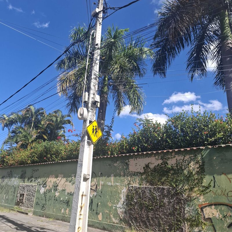 Imagem da publicação