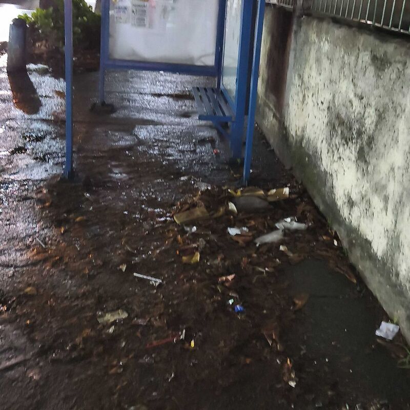 Imagem da publicação
