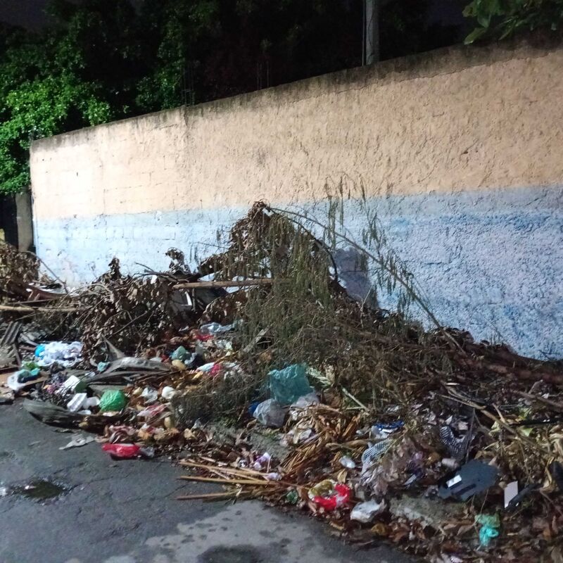 Imagem da publicação