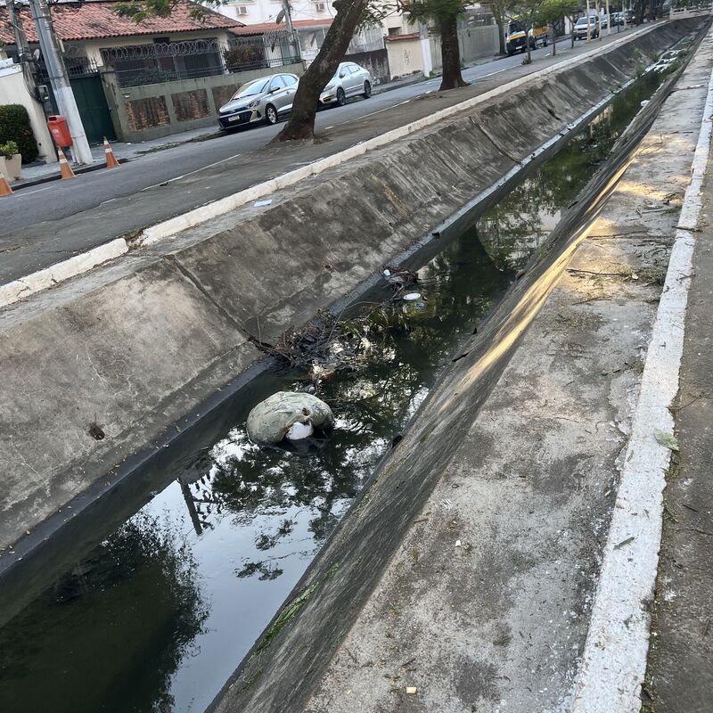 Imagem da publicação