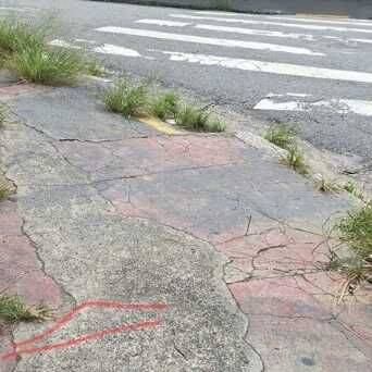 Imagem da publicação