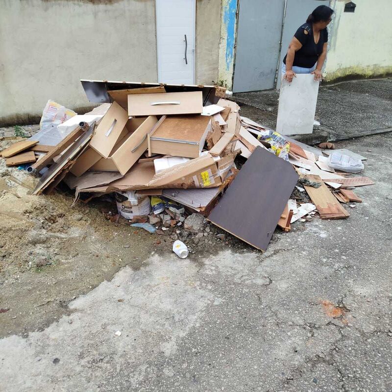Imagem da publicação