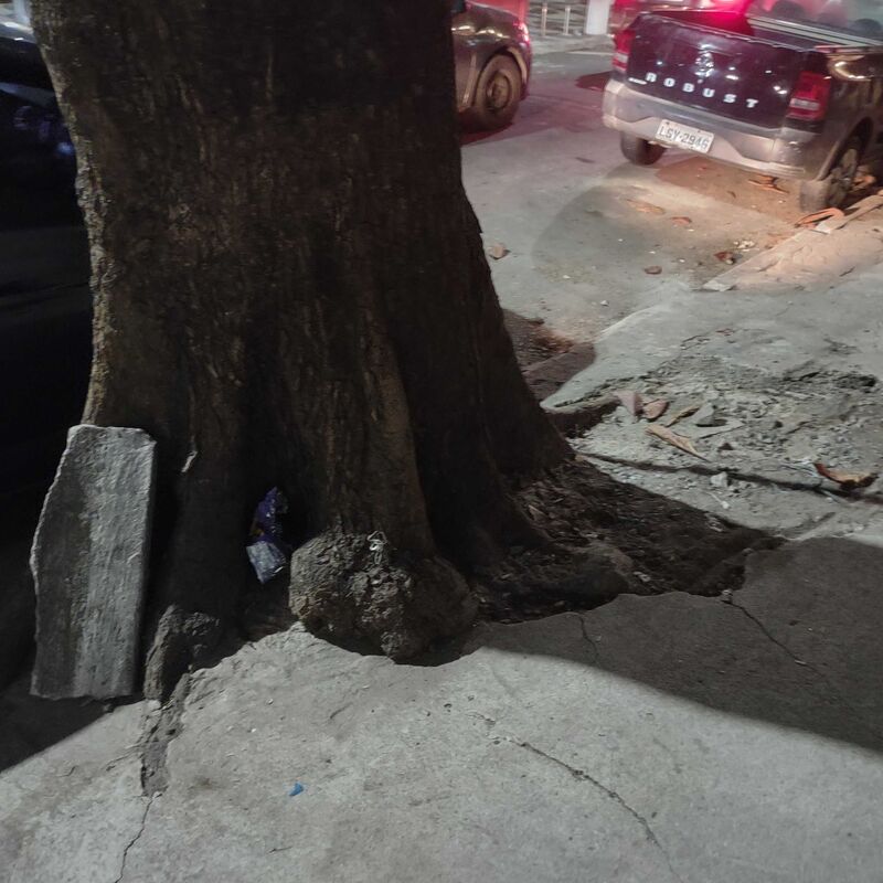 Imagem da publicação