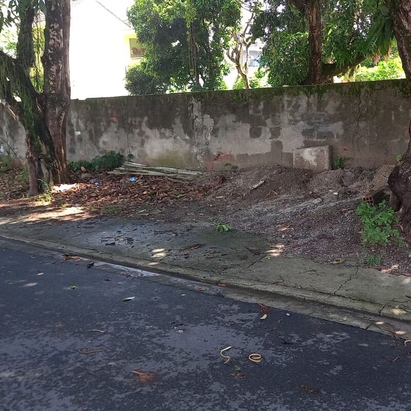 Imagem da publicação