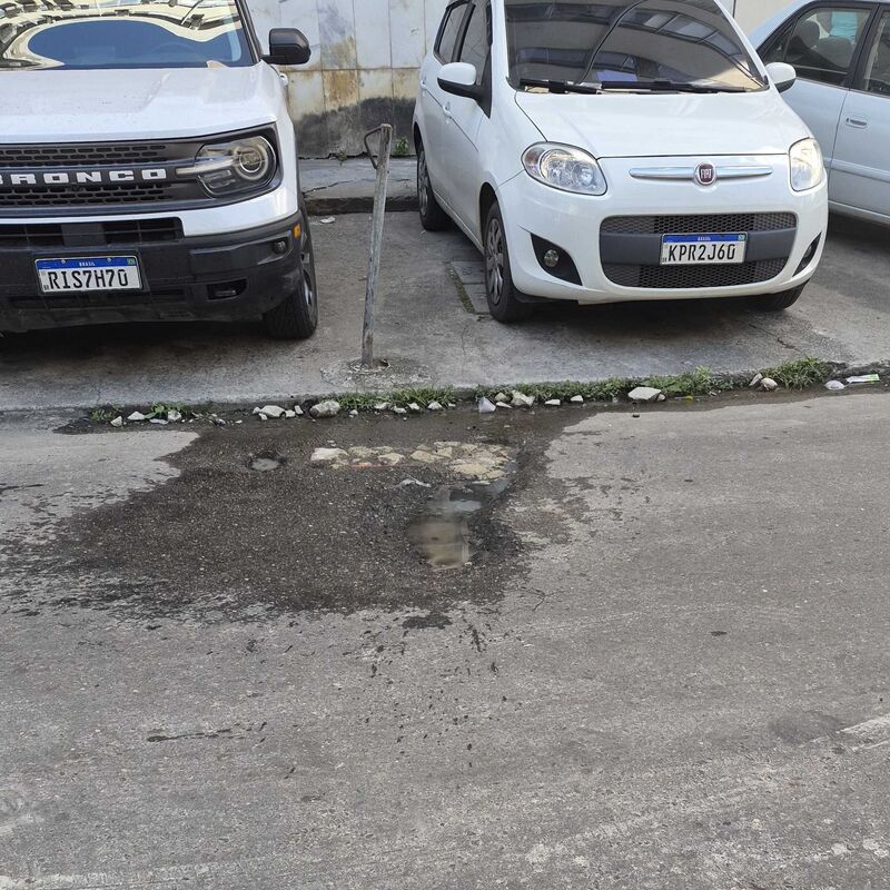 Imagem da publicação