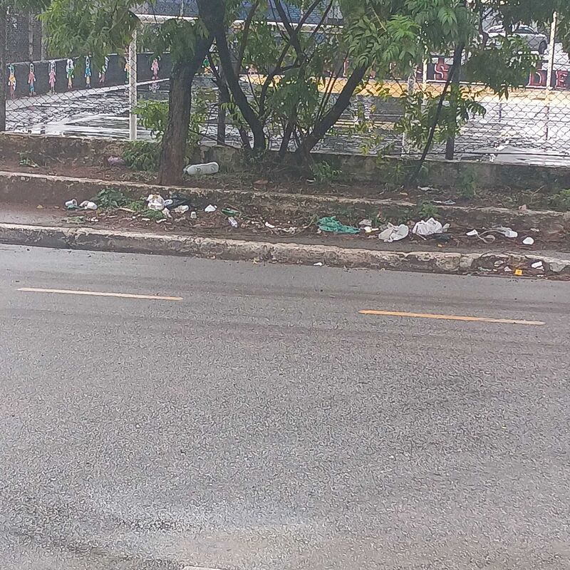 Imagem da publicação