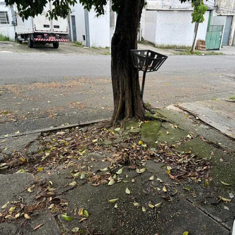 Imagem da publicação