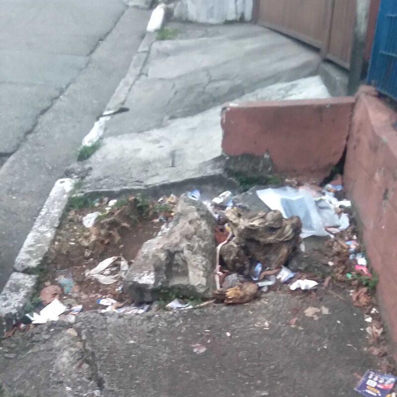 Imagem da publicação