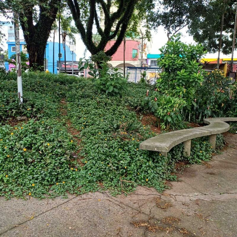 Imagem da publicação