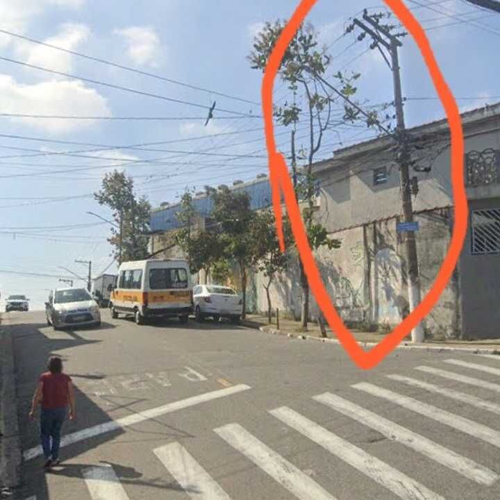 Imagem da publicação