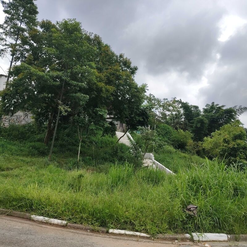 Imagem da publicação