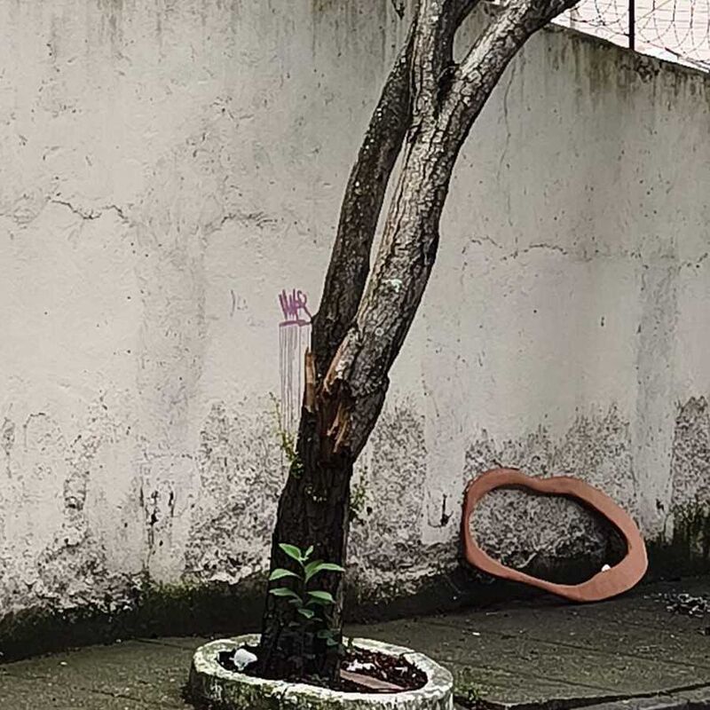 Imagem da publicação