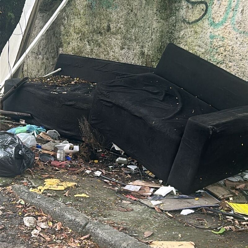 Imagem da publicação