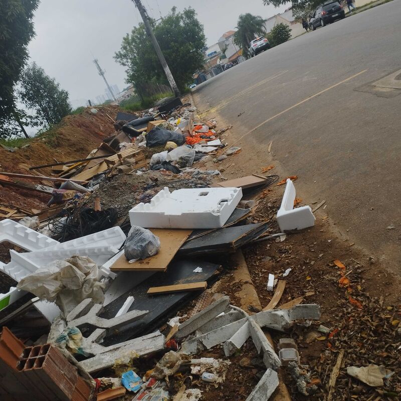 Imagem da publicação