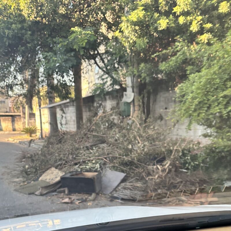 Imagem da publicação