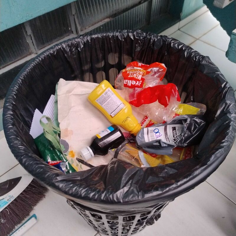 Imagem da publicação
