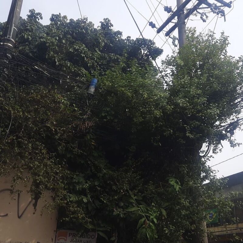 Imagem da publicação
