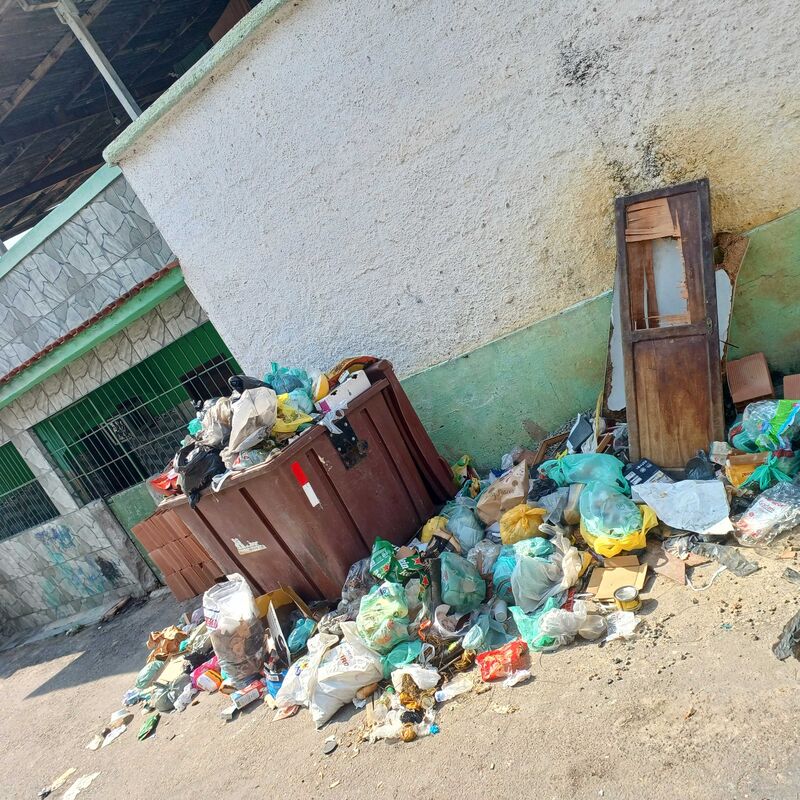 Imagem da publicação