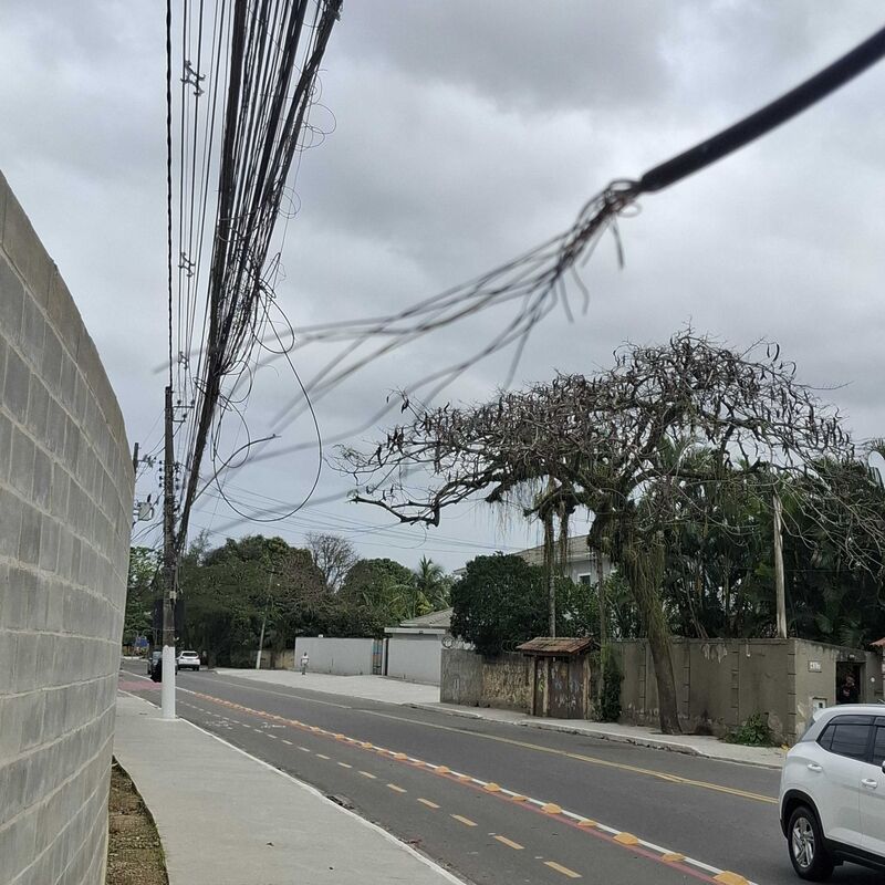 Imagem da publicação