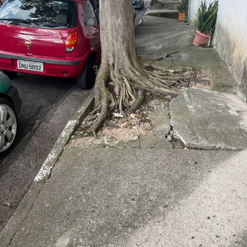 Imagem da publicação