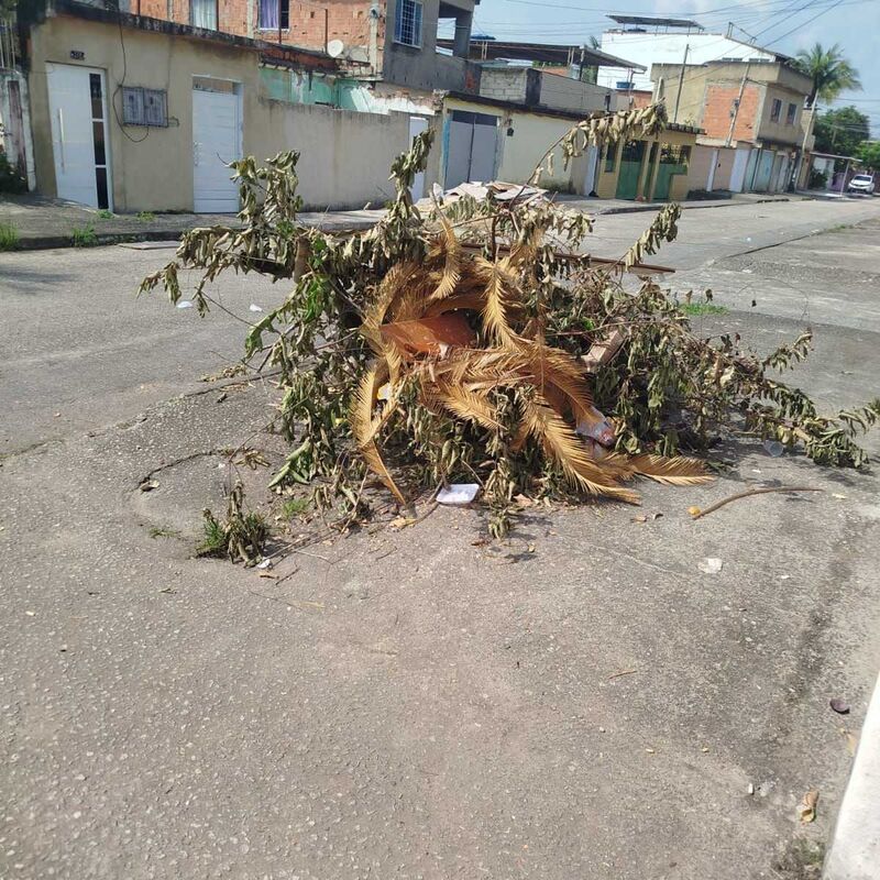 Imagem da publicação