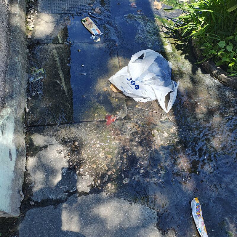 Imagem da publicação