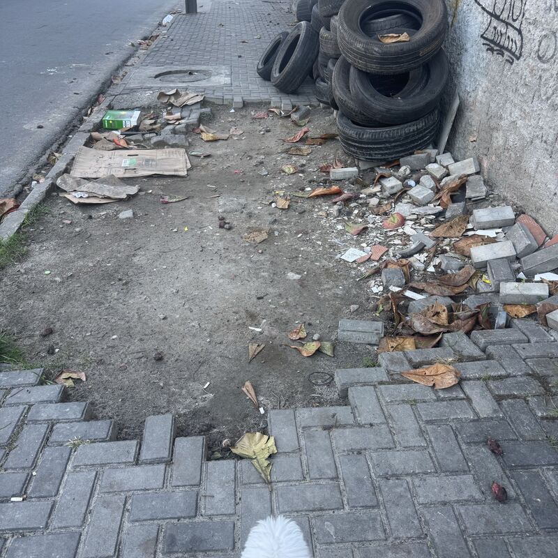 Imagem da publicação