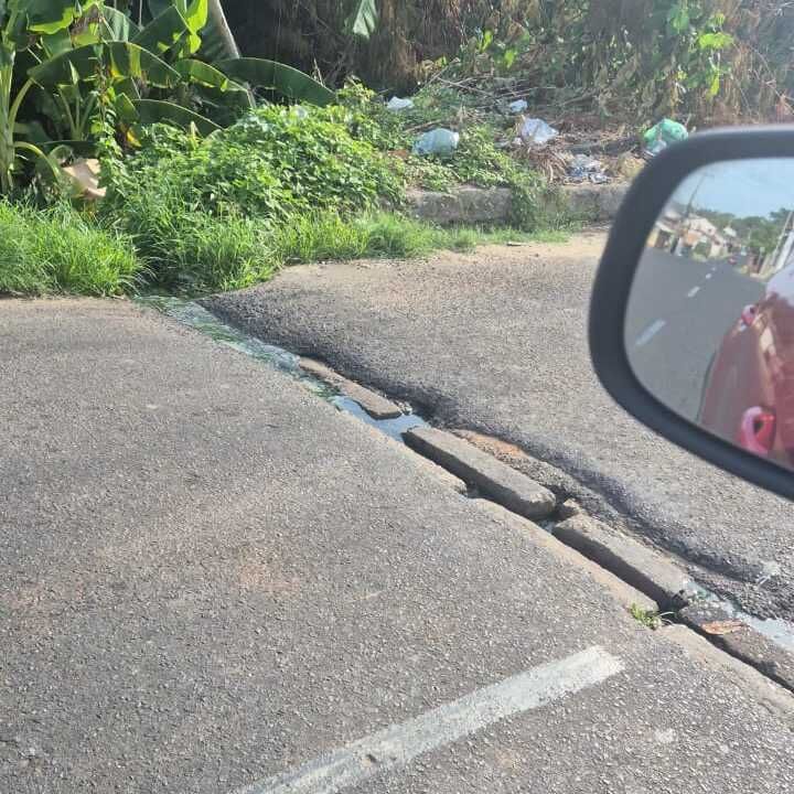 Imagem da publicação