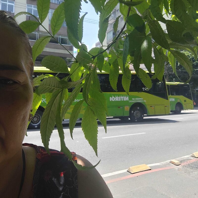 Imagem da publicação