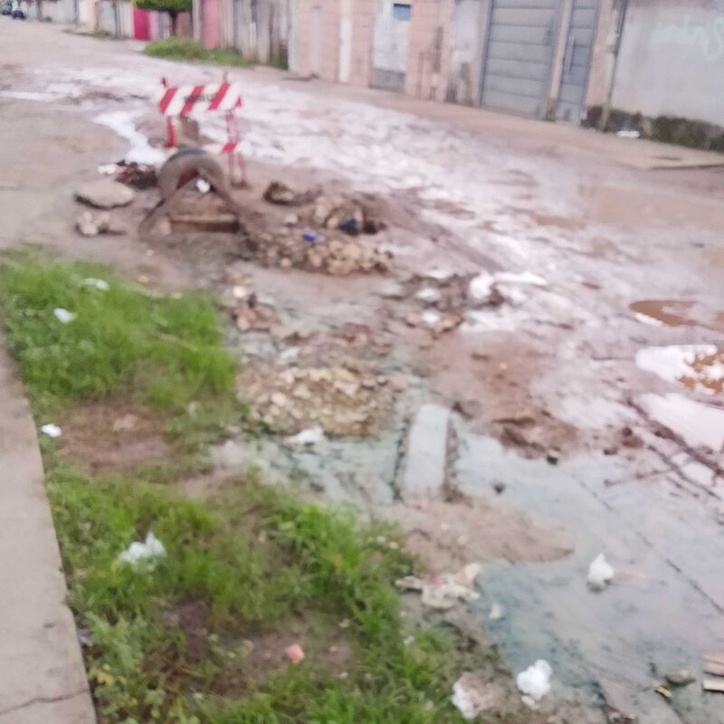 Imagem da publicação