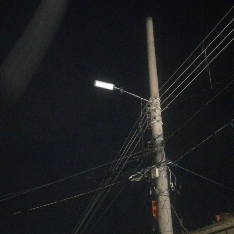 Imagem da publicação