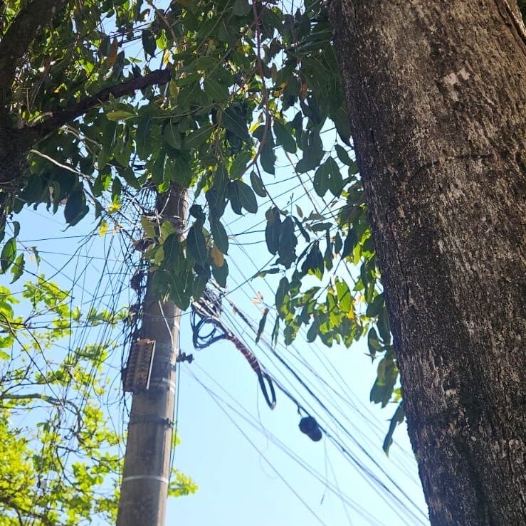 Imagem da publicação