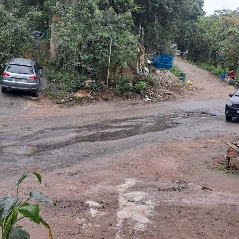 Imagem da publicação