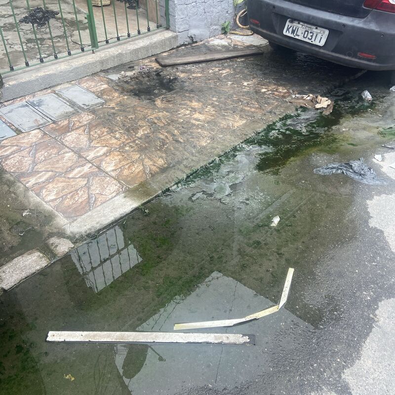 Imagem da publicação