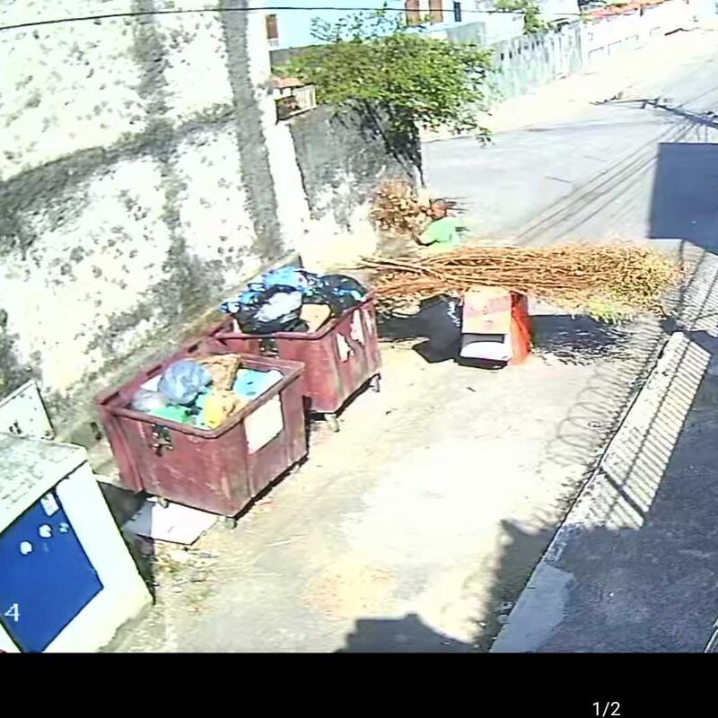 Imagem da publicação