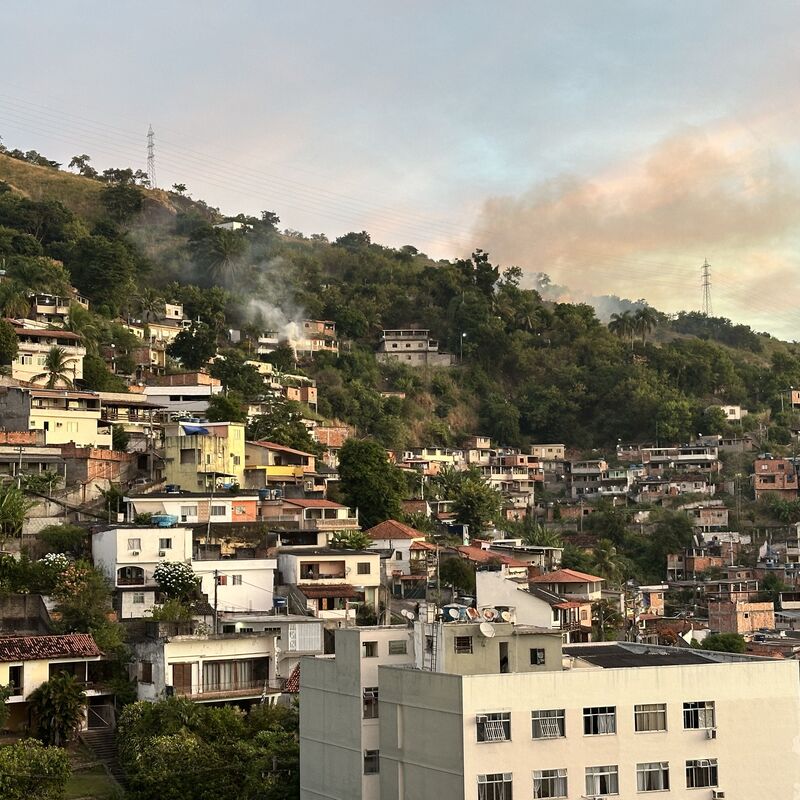 Imagem da publicação
