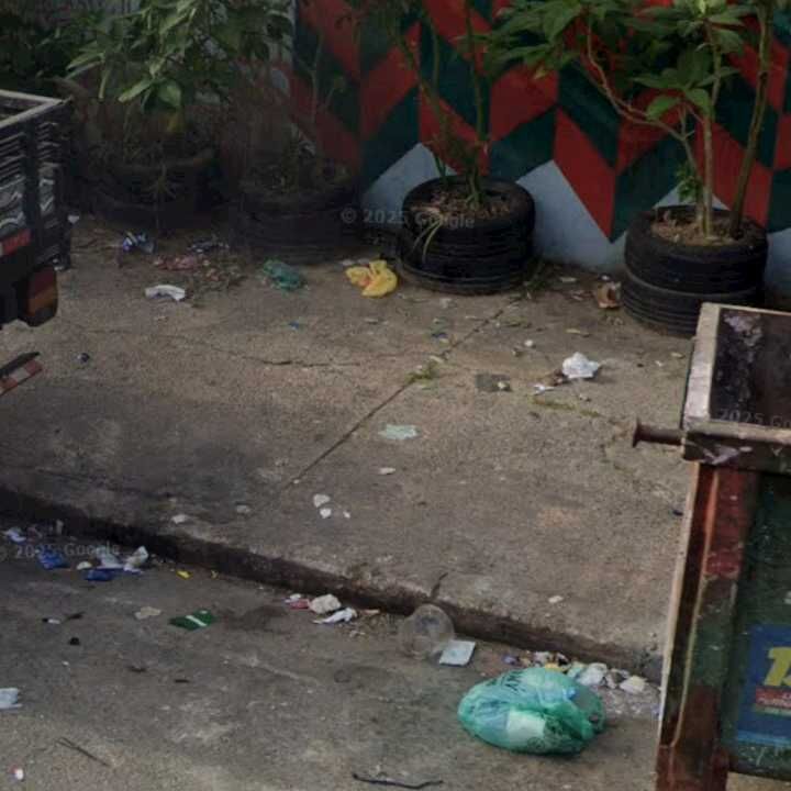 Imagem da publicação