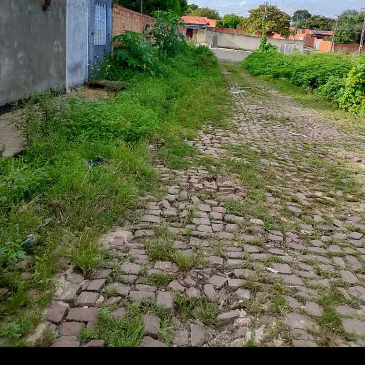 Imagem da publicação