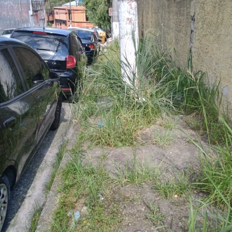 Imagem da publicação