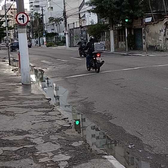 Imagem da publicação