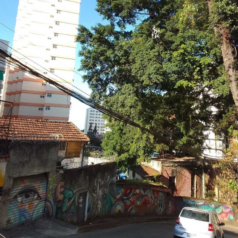 Imagem da publicação