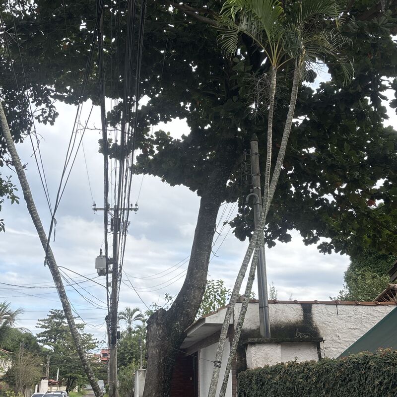 Imagem da publicação