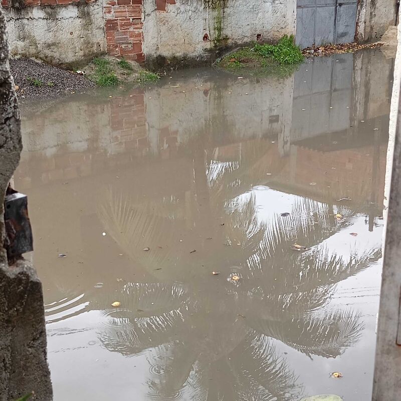 Imagem da publicação