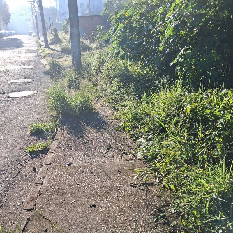 Imagem da publicação