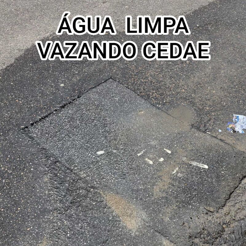 Imagem da publicação