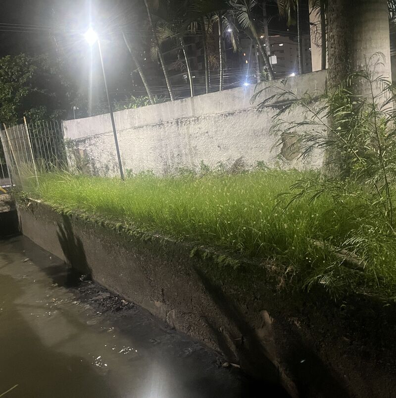 Imagem da publicação