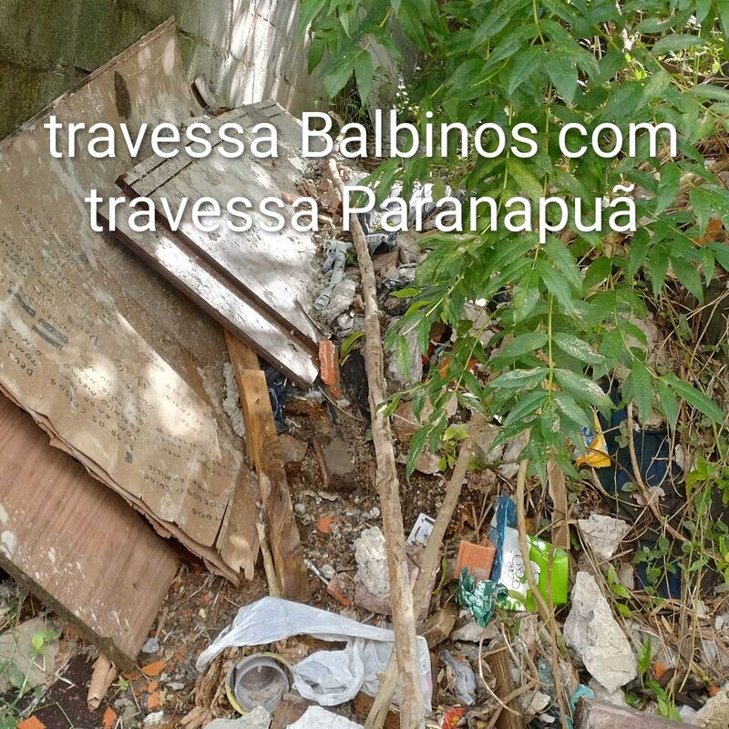 Imagem da publicação