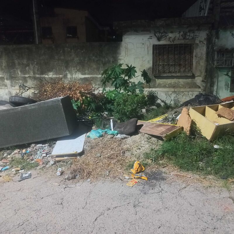 Imagem da publicação