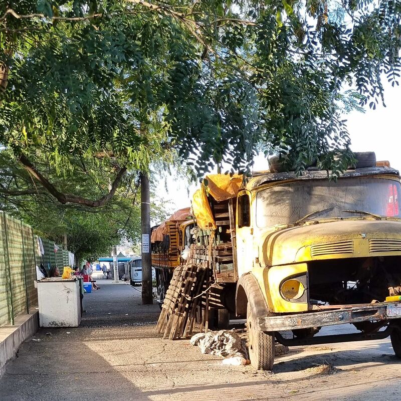 Imagem da publicação