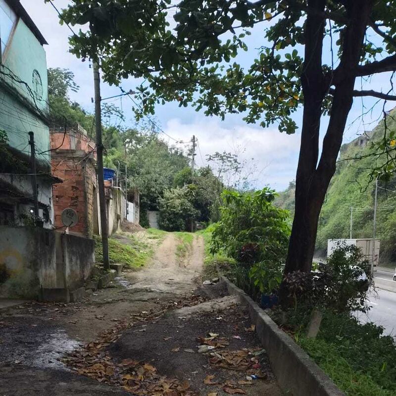 Imagem da publicação